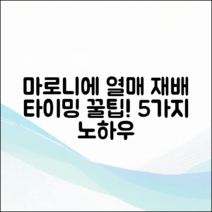 마로니에 열매 재배, 타이밍 5가지 팁
