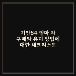 기안84 엄마 차 구매와 유지 방법에 대한 체크리스트